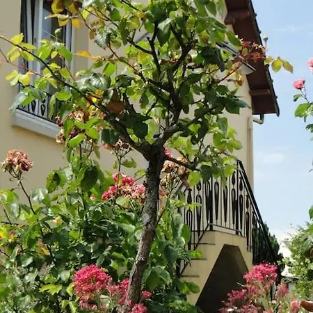 Front De Mer, Meuble De Tourisme Sur Le Port