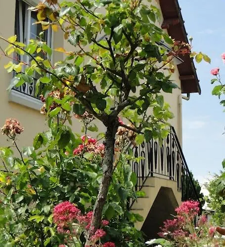 Front De Mer, Meuble De Tourisme Sur Le Port